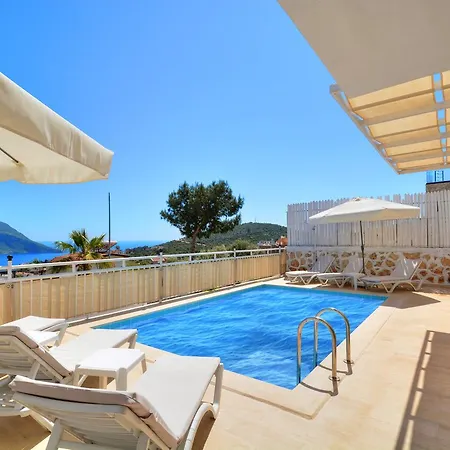 Olive-7 * Kalkan