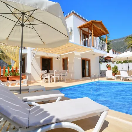 Olive-7 Kalkan