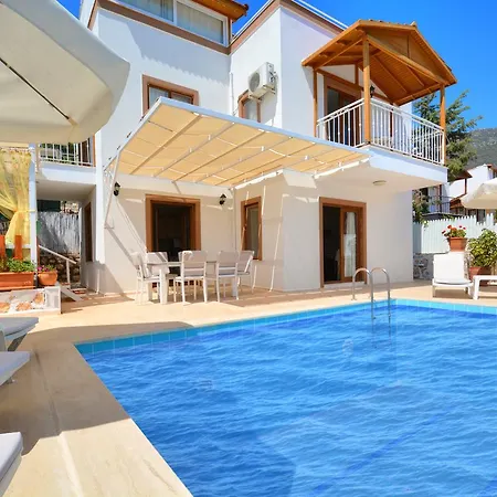 Olive-7 * Kalkan